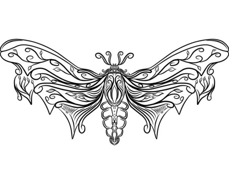 butterfly tatto design
