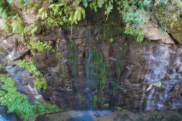 浅瀬に流れ落ちる水流と苔のある風景