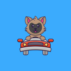 Cute cat is driving. Animal cartoon concept isolated. Can used for t-shirt, greeting card, invitation card or mascot. Flat Cartoon Style
