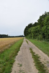 Fototapeta na wymiar Chemin de vélo dans un milieu rural
