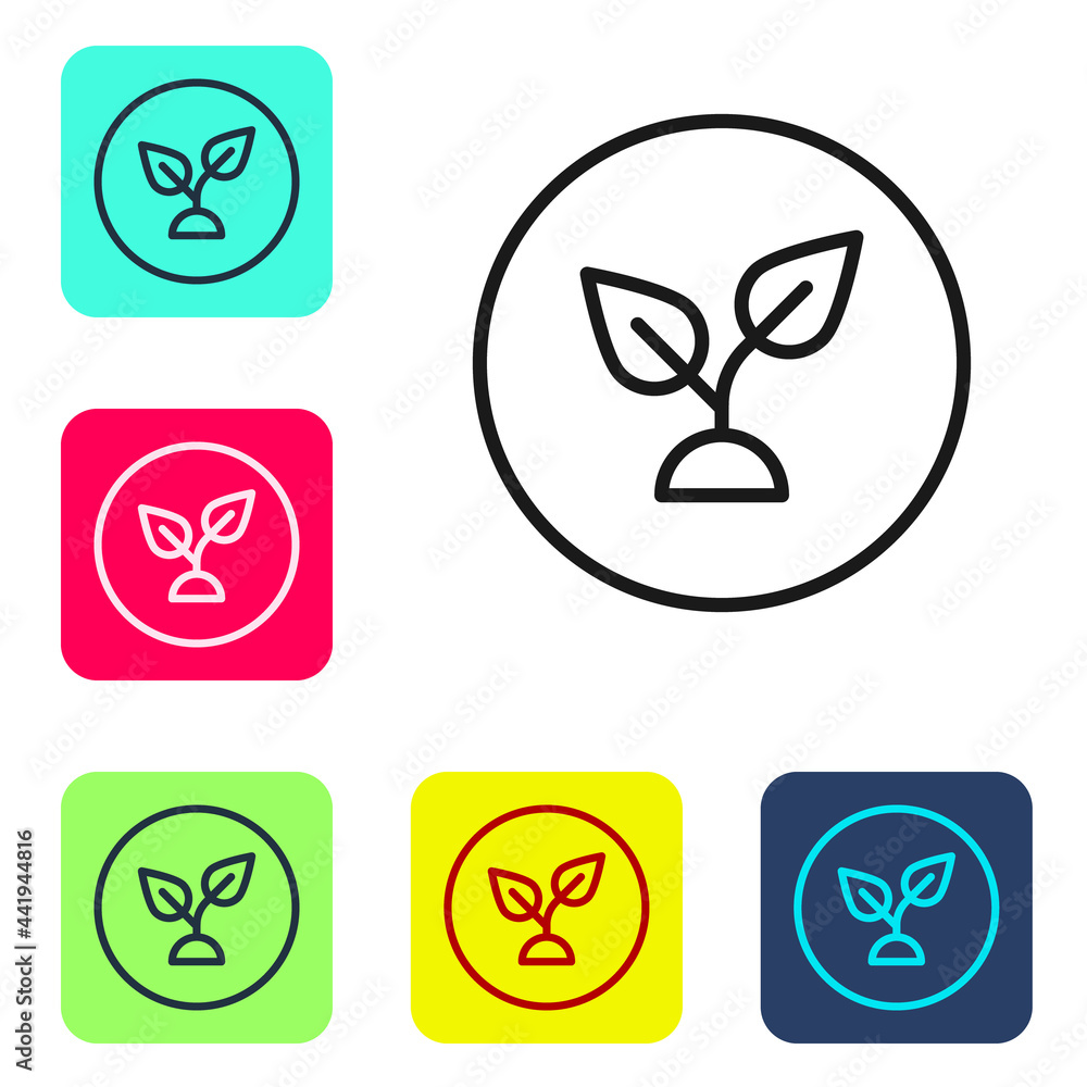 Poster black line plant based icon isolated on white background. set icons in color square buttons. vector