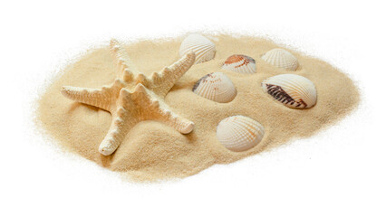 starfish and shells on the sand