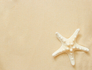 Fototapeta na wymiar one starfish on the beach sand with a large copy space
