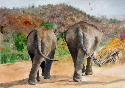 A watercolour painting of two Indian elephants in the countryside of Thailand