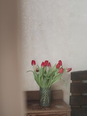 tulips in a vase