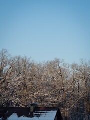 Snow covered park and a roof of a country house 