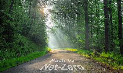 The Path to Net-Zero 2050