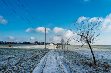 Einsamer Weg zum Bauernhof im Winter - Niedersachsen - Deutschland
