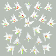 Vector pattern with white lily flowers.