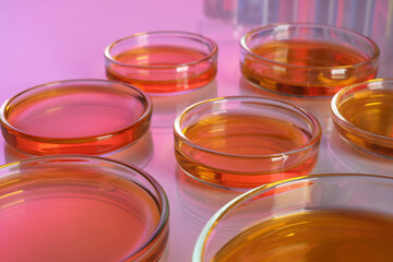 Petri dishes with red liquid on table, closeup