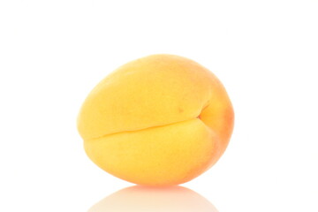 Naklejka na ściany i meble One ripe organic yellow apricot, close-up, isolated on white.