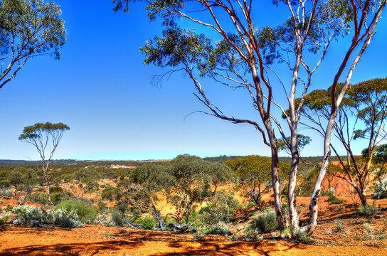 Kalgoorlie is in the Goldfields region of Western Australia