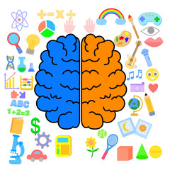 Left and right human brain.Hemispheres brain.Creative and logical.Vector illustration for infographic ot presentation.Sign, symbol, icon or logo.Flat design.Education and business icons.Hand drawn.