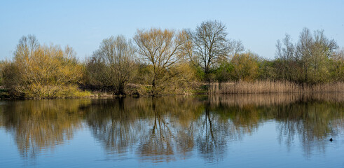 Winter lake on a sunny day 0631