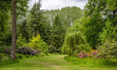 Fototapeta na wymiar Spring flowers in green woodland