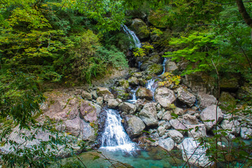 三重県　秋の大杉谷　