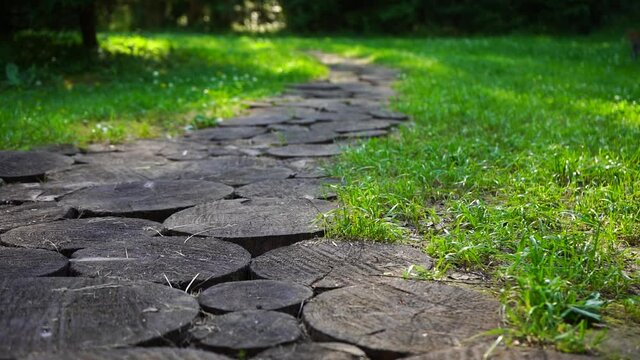 Wooden path in a forest clearing at a campsite