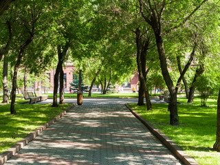 Fototapeta premium City square. Cobblestone path, benches for rest. Green vegetation in the park. Sunny summer day