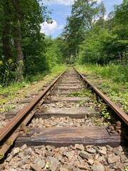 Obraz premium railway in the forest