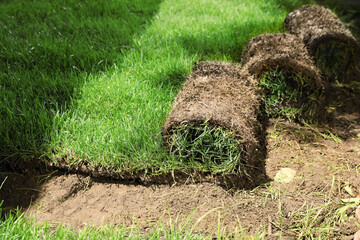 Rolled grass sod on ground in garden