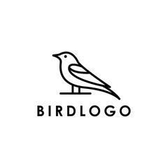 Bird Animal logo design vector element