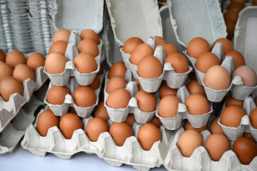 Boîtes à oeufs de poule frais bio en gros plan