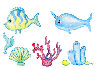 Set of cartoonish marine animals coral, fish, narval, shell, seaweed watercolor by hand