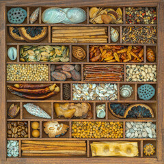 Spices and seashells in wooden box.