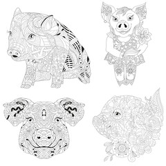 Set of pigs with flowers in zentangle style for coloring.