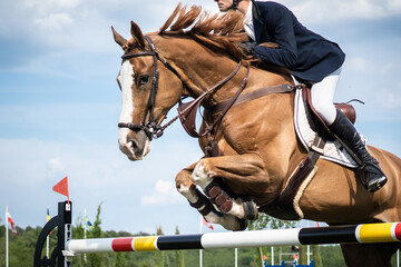 Equestrian Sports photo themed: Horse jumping, Show Jumping, Horse riding competition - obrazy, fototapety, plakaty