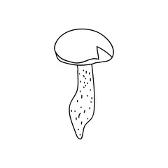 Single hand drawn mushroom for autumn decoration. Doodle vector illustration. Isolated on a white background.