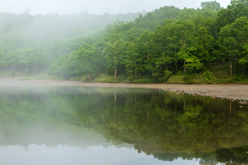 朝もやの赤城山小沼の湖面に映る新緑の林