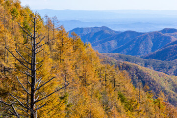 Fototapeta premium 中禅寺湖展望台からの展望