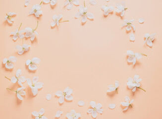 Floral frame made of flowers and petals on a pastel pink background. Flat layout copy space