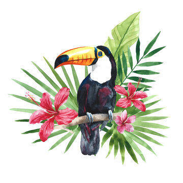 recommend clip art: Watercolor toucan with tropical palm leaves and flowers. Hand drawn illustration, clip art isolated on white background