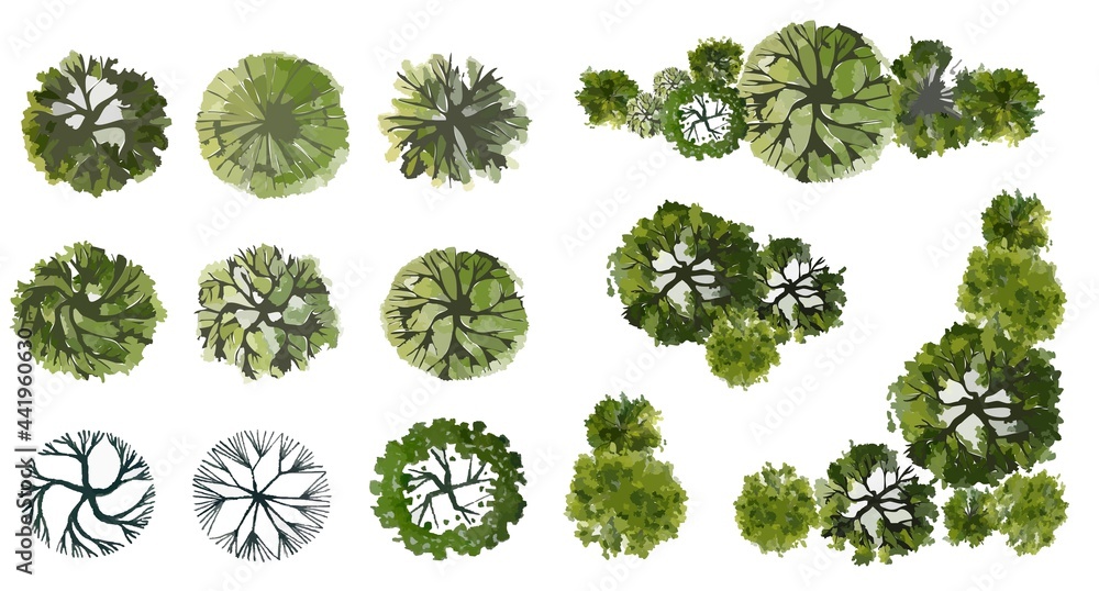 Wall mural vector tree top view isolated on white background for landscape plan and architecture layout drawing