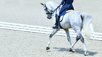 Rider in uniform, equestrian sports. Dressage horses and rider in uniform. Horizontal banner for...