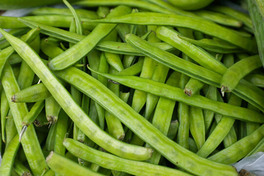 Fresh green Organic vegetable Cluster Beans