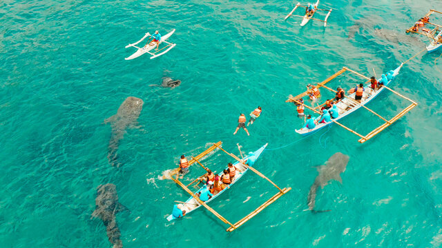 Place to snorkel and scuba drive and whale shark watching, top view, Oslob, Philippines. clean blue ocean and has many local Filipino boats in the sea