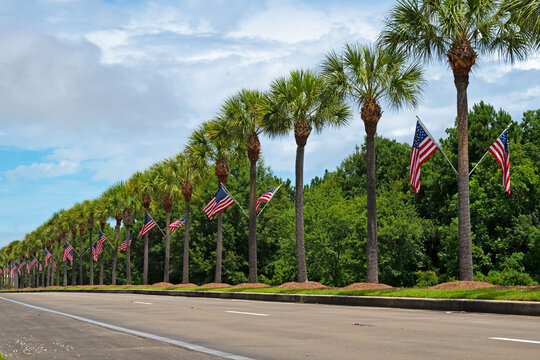 American flags attached to a row of palm trees.