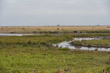 lake with birds and islands on a plateau in a national park in Kenya 