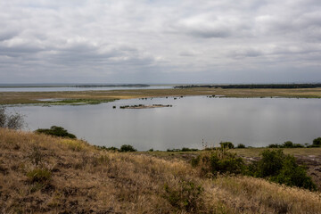 Fototapeta na wymiar lake with birds and islands on a plateau in a national park in Kenya 