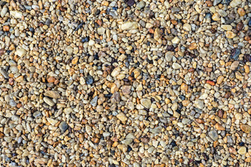 Shiny sea pebbles lie in an even layer on the beach. Natural background and texture of the stone.