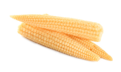 Fresh baby corn cobs on white background