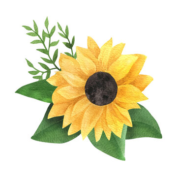 Sunflower Clipart" Images – Browse 719 Stock Photos, Vectors, and Video |  Adobe Stock