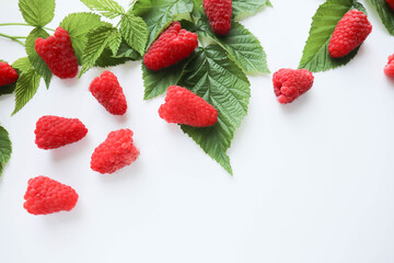 sprigs of raspberries, ripe raspberries on a white background and space for text
