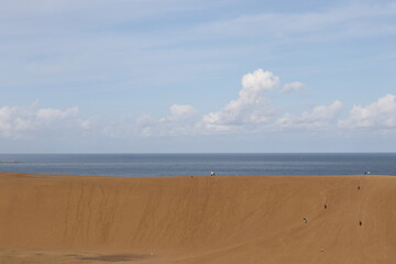 砂丘　海