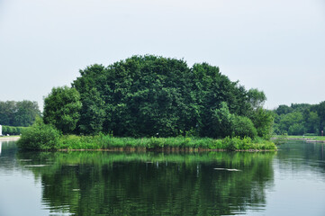 Fototapeta na wymiar An island with green trees in the middle of a pond. Panoramic view of the city pond in the park.