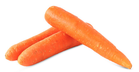 Carrots isolated on a white background.