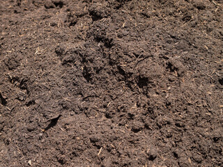 Top view Soil texture background for plant. 